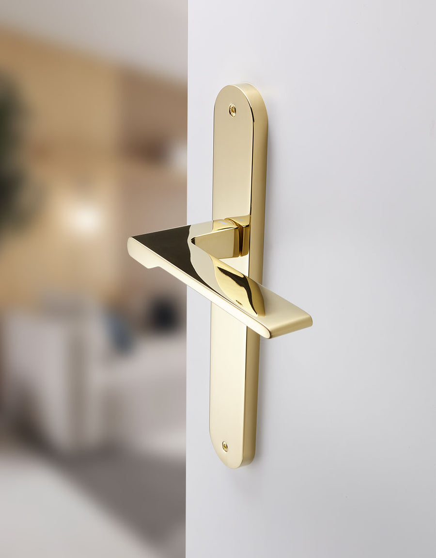 Special lever handle set on an oval backplate
